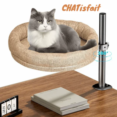 Hamac chat | Bureau