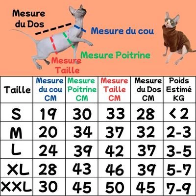 Pull pour chat | Doudou – Image 4